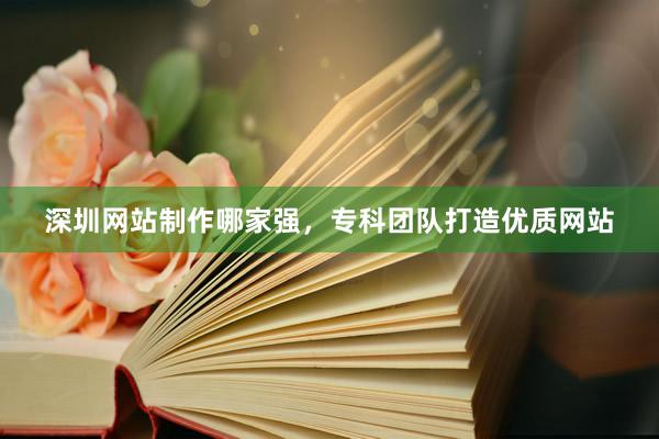 深圳网站制作哪家强，专科团队打造优质网站