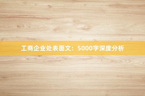 工商企业处表面文:5000字深度分析